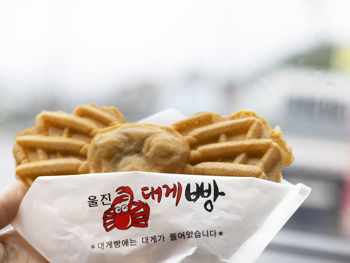 [여행honey] 7번 국도 따라 해산물 맛 기행