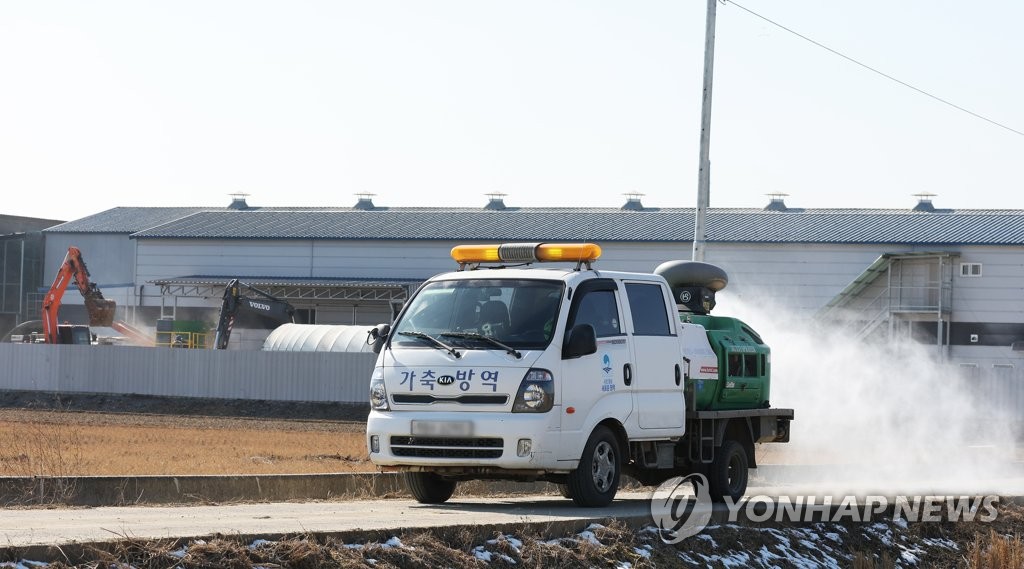 고흥 오리농장서 AI 항원…고병원성 여부 검사 중