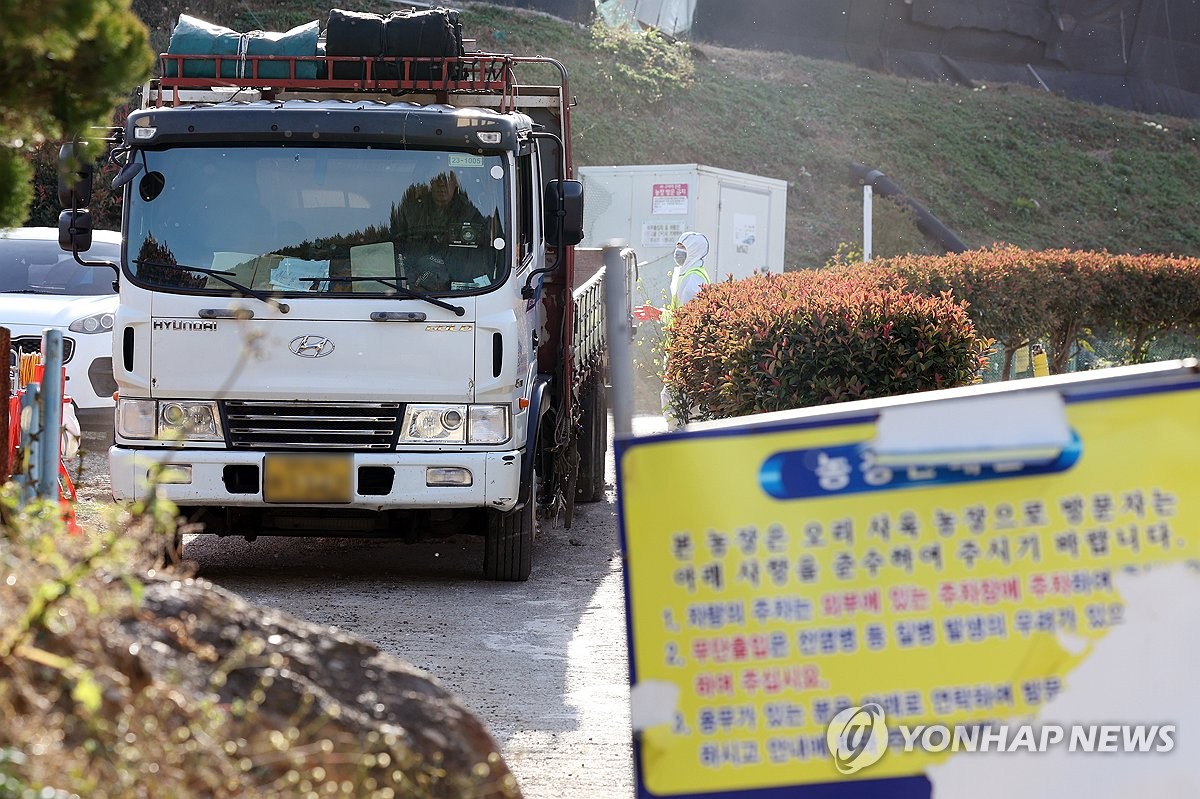 AI 항원 나온 고흥 오리농장 긴장