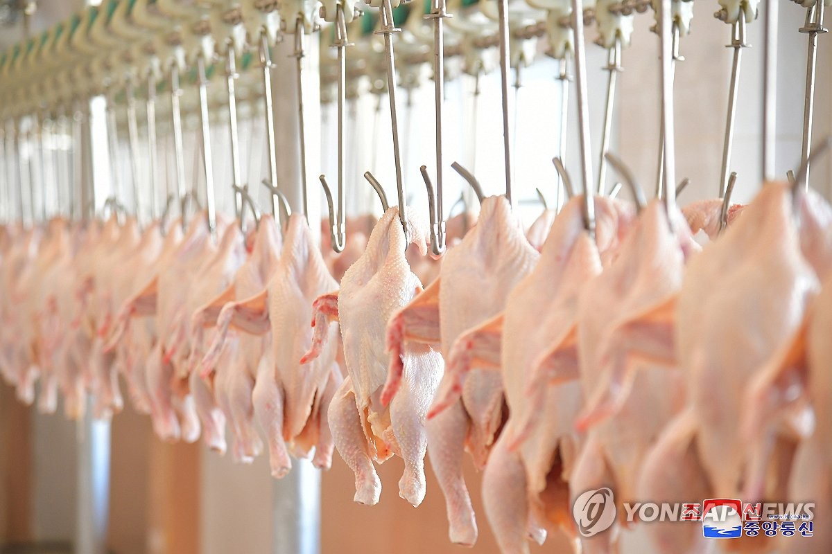 북한 광천닭공장 조업식 진행