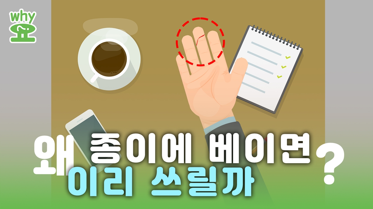 [Why요?] 얇은 종이에 베였는데 왜 이리 쓰릴까