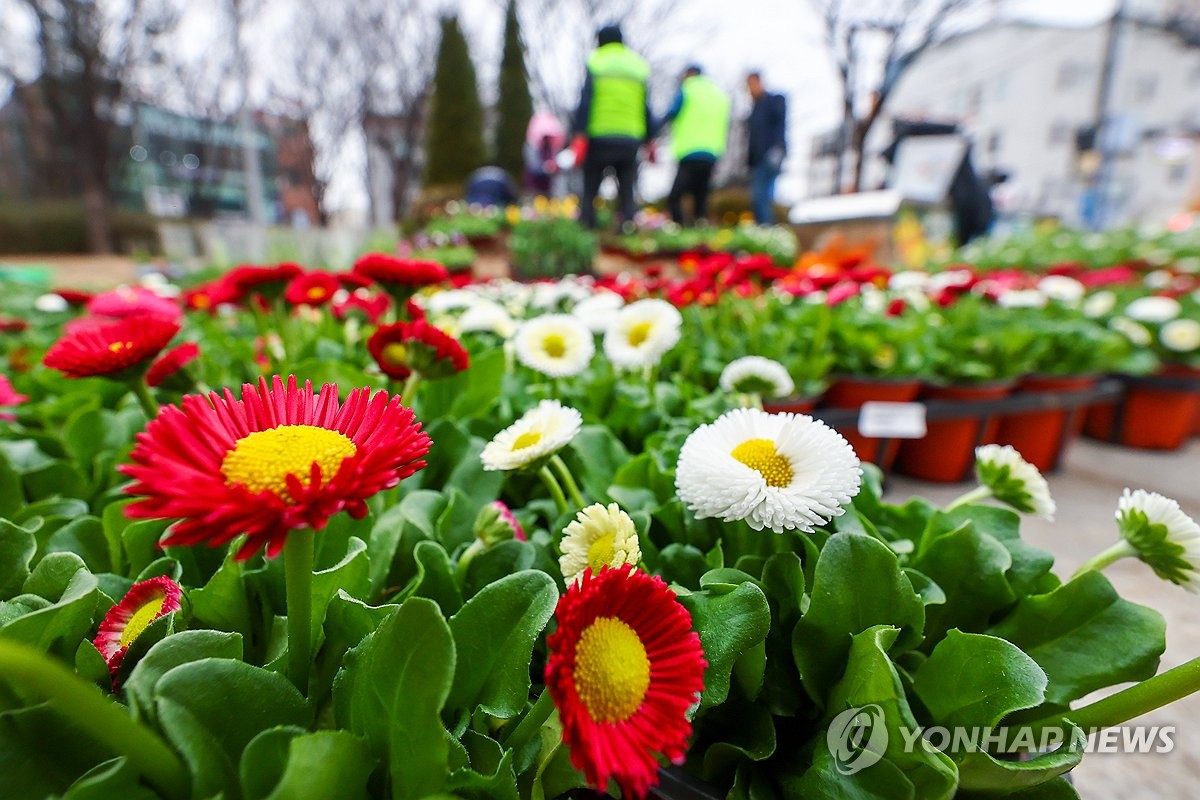 새봄맞이 꽃단장