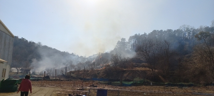 충남 금산 진산면 야산서 산불…주민 1명 경상