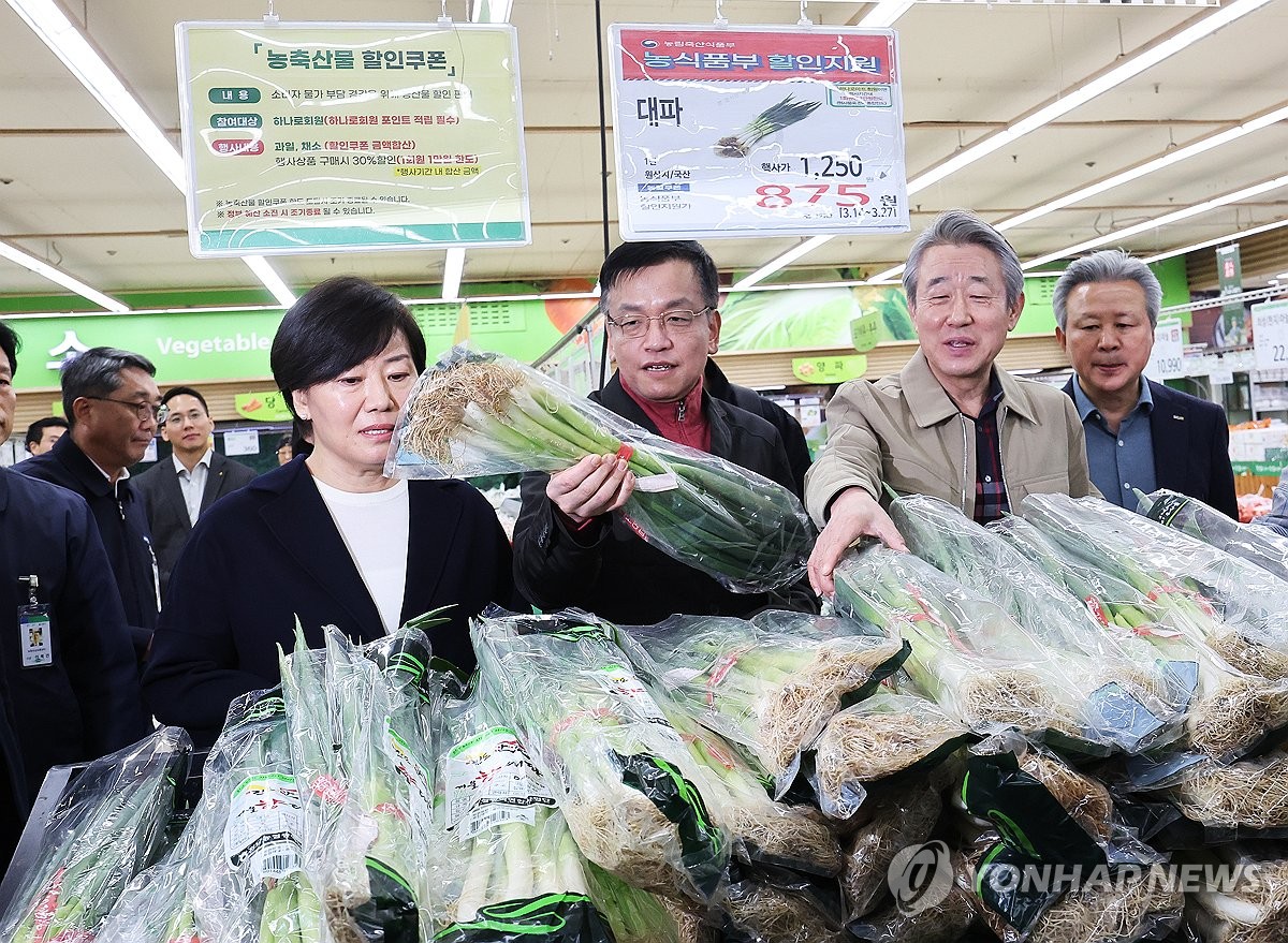 대파 살펴보는 최상목 부총리