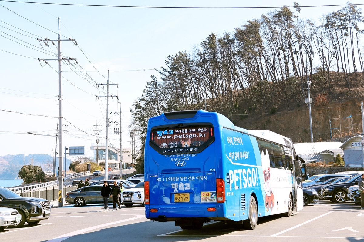 [여행honey] 멍멍∼ 주인님 이제 같이 여행 가요