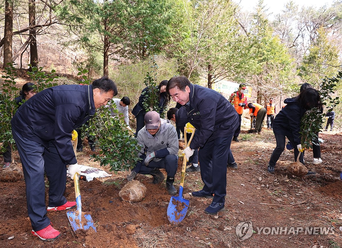 식목일 앞두고 나무 심기