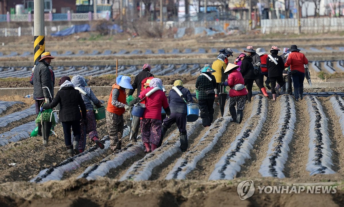 우리 농가 100만 가구 밑으로…2명 중 1명은 고령층