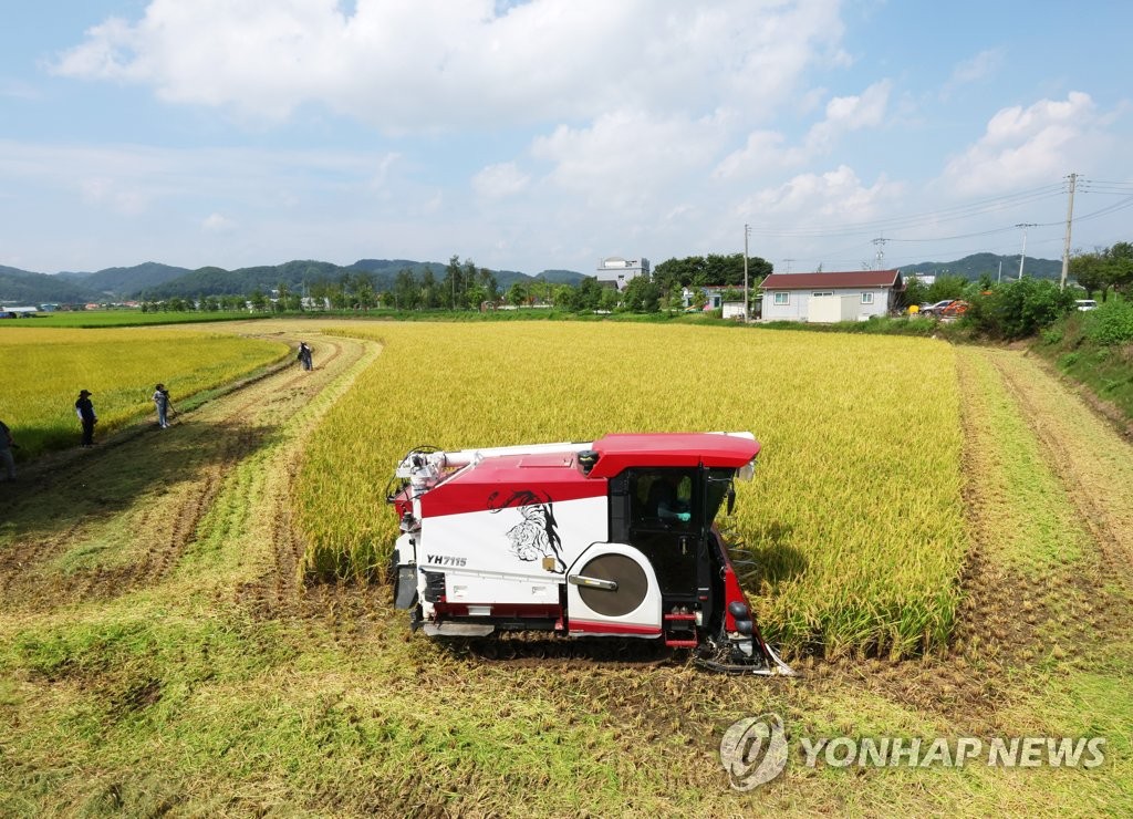[강원 고성소식] 달홀영화관, 주민 대상 파묘 무료 상영회