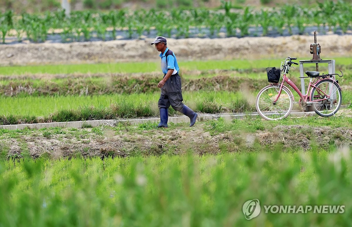 이른 아침 농부의 일상