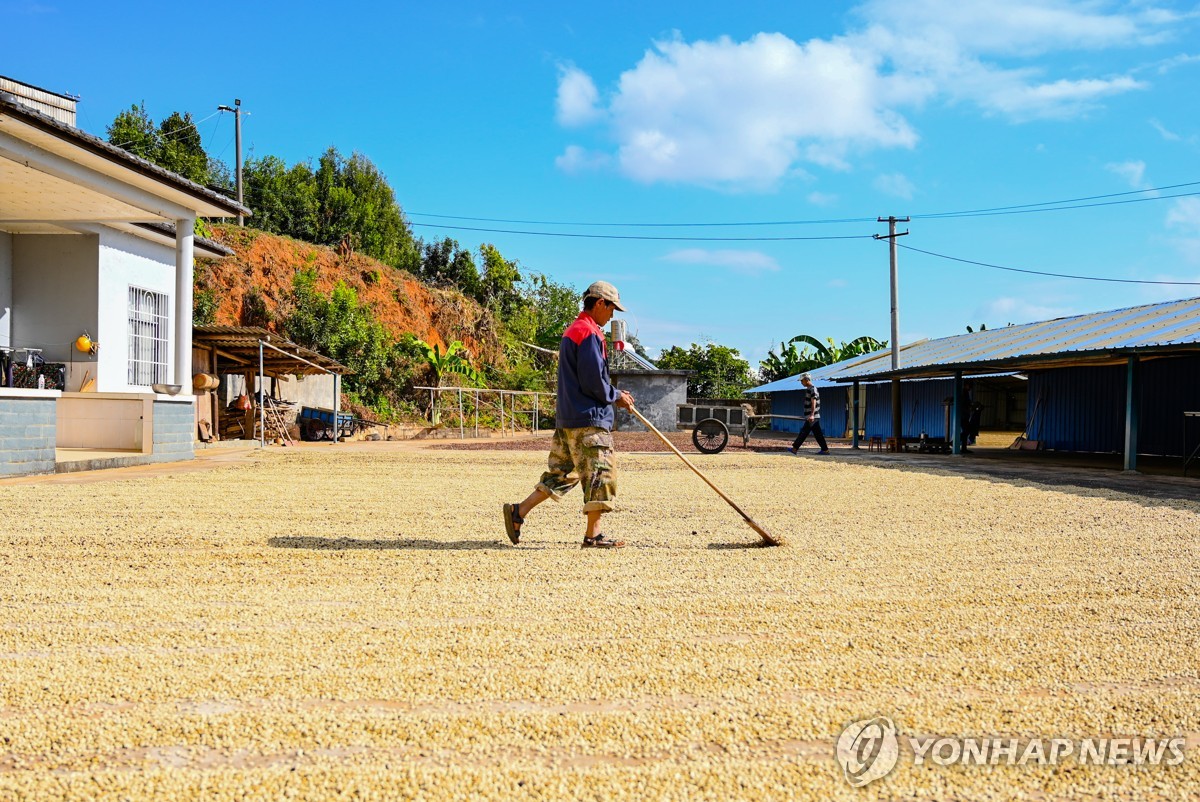 中대학에 첫 4년제 커피학 전공 개설…공학·무역 등 교육