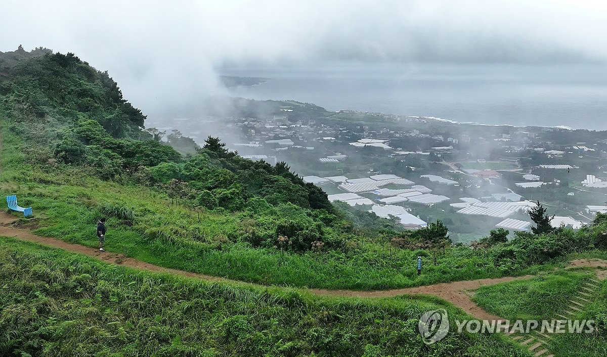 구름위산책