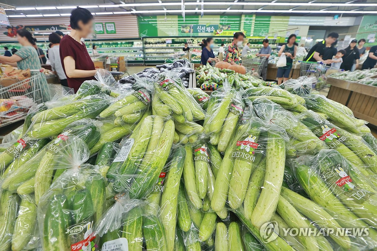 출하량 감소에 오이 가격도 상승