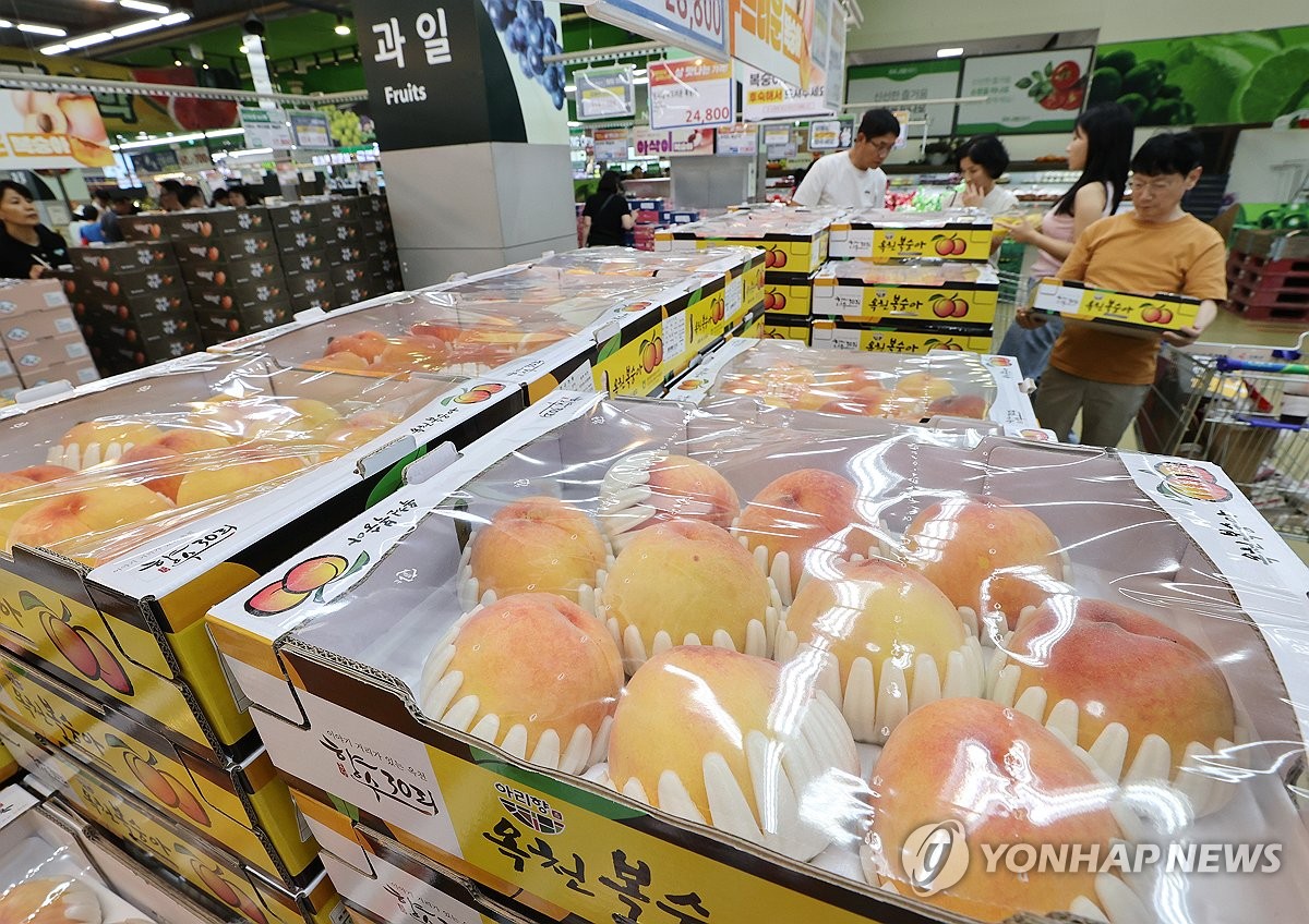 대형마트 여름 과일값 안정세