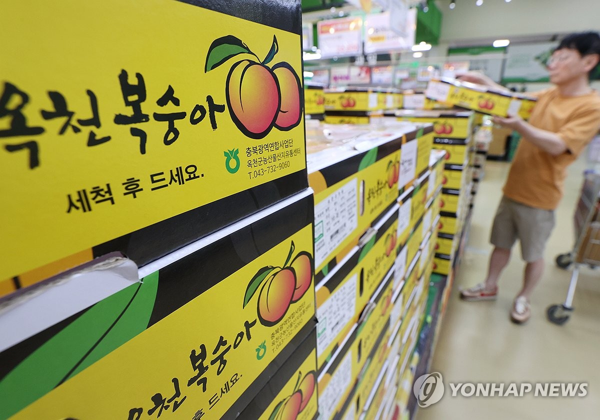 대형마트 여름 과일값 안정세