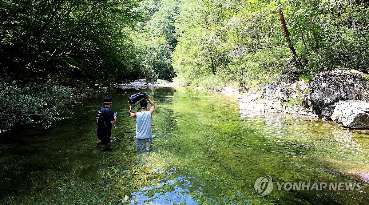 물길 따라 걷는 계곡 트레킹