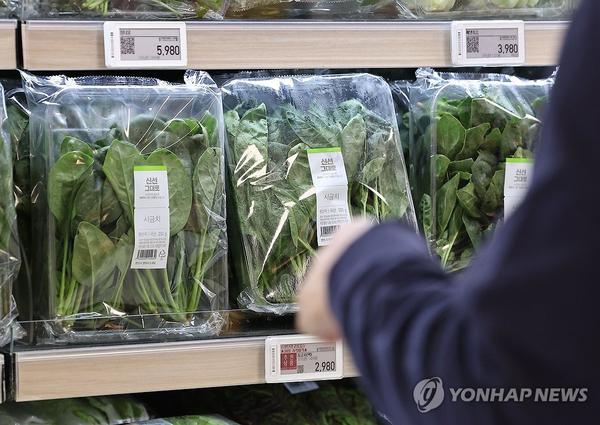 가격 급등 시금치 할인 행사 시작한 대형마트