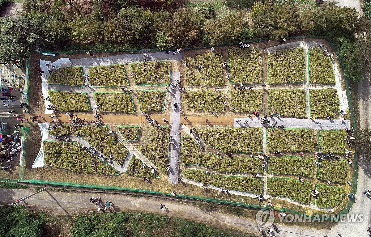 제12회 완주 와일드앤로컬푸드축제