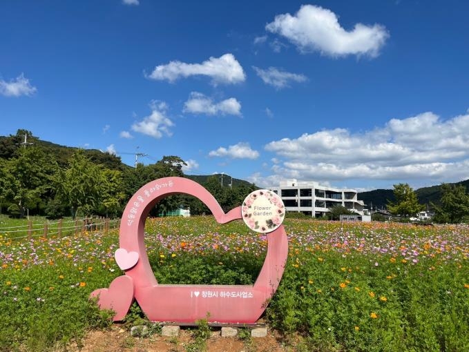 창원 덕동맑은물 플라워가든 11일 개방…바다보며 가을꽃 감상