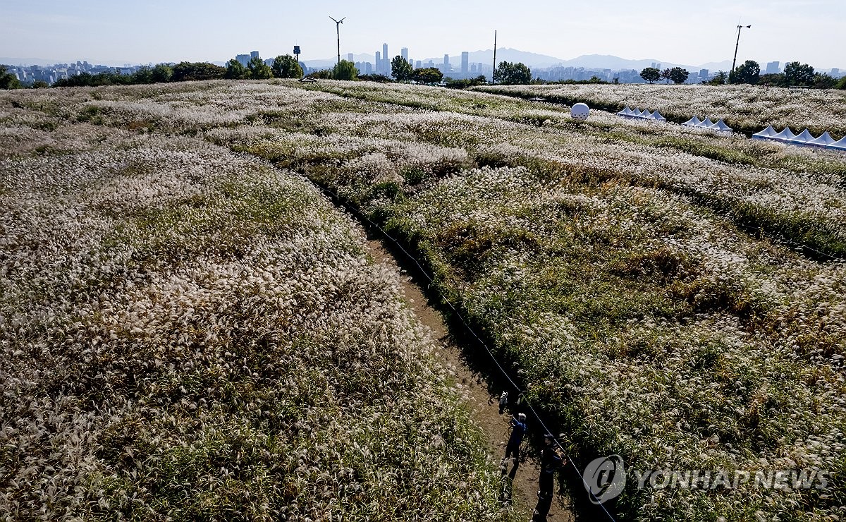 가을 찾아든 하늘공원