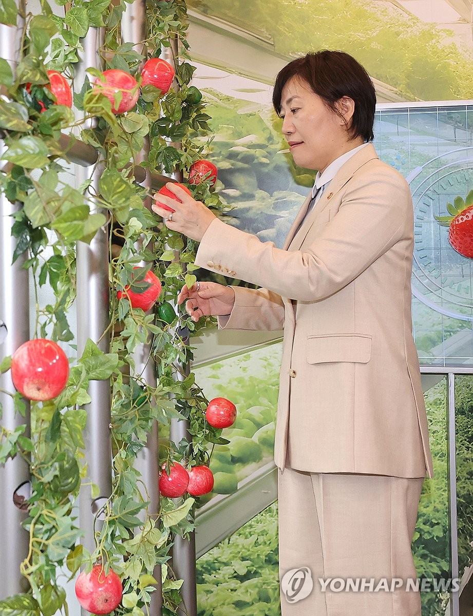 스마트팜에서 사과 따는 송미령 장관