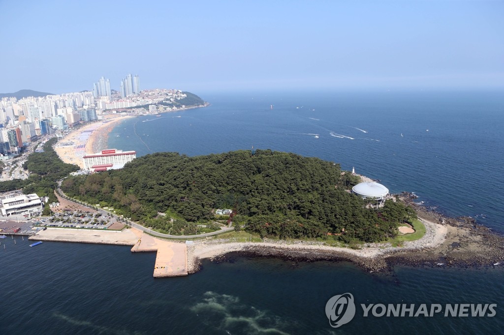 부산 동백섬에 대나무 군락이 해송 밀어내…관리 강화해야