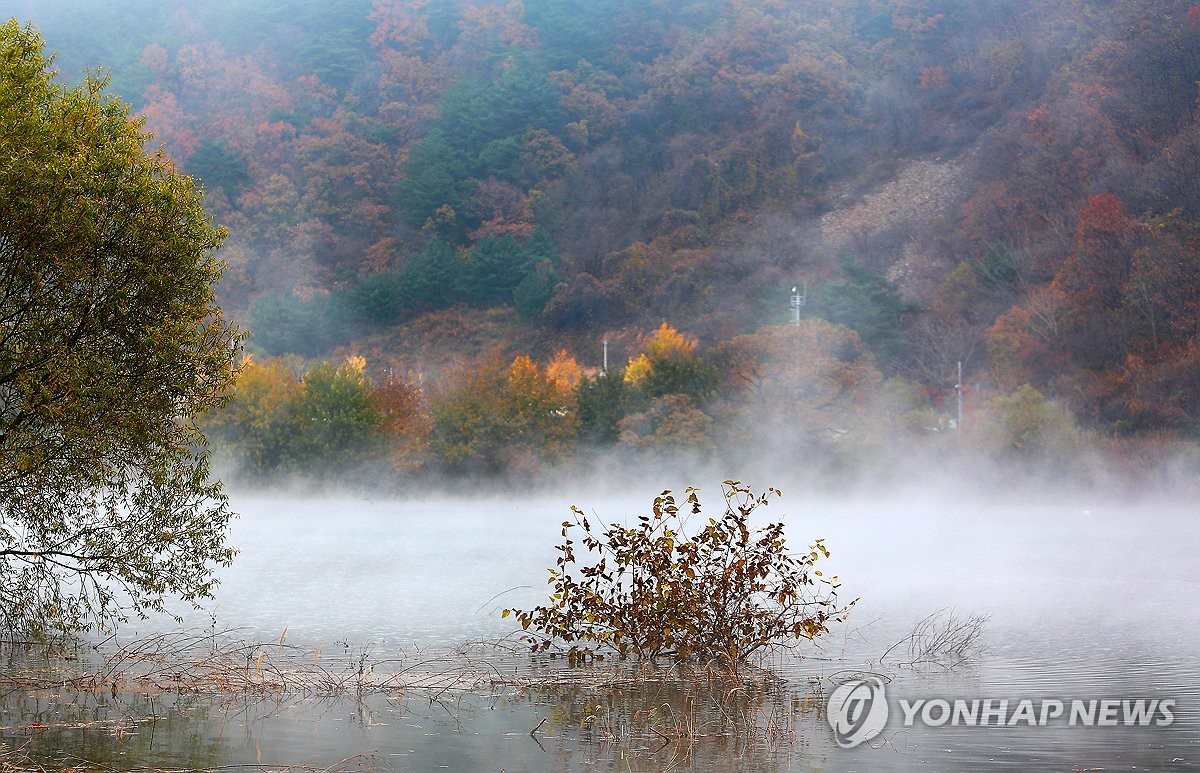 물안개에 빠진 단풍