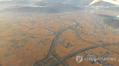 드넓은 김해평야 이제 옛말…논벼 10년 전보다 1천244㏊ 줄어