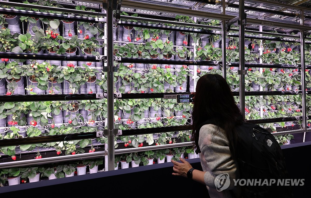 이게 바로 스마트팜