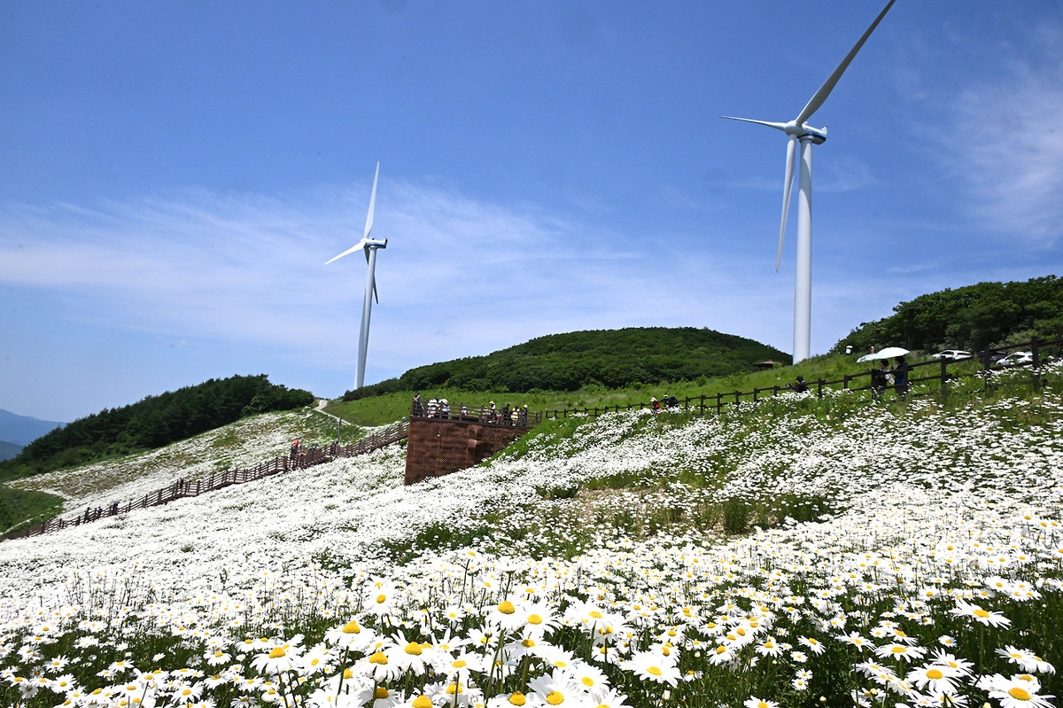 평창 청옥산 육백마지기, 지방 정원 조성 예정지 지정