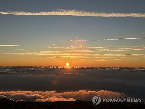 [인&아웃] 아주 보통의 하루