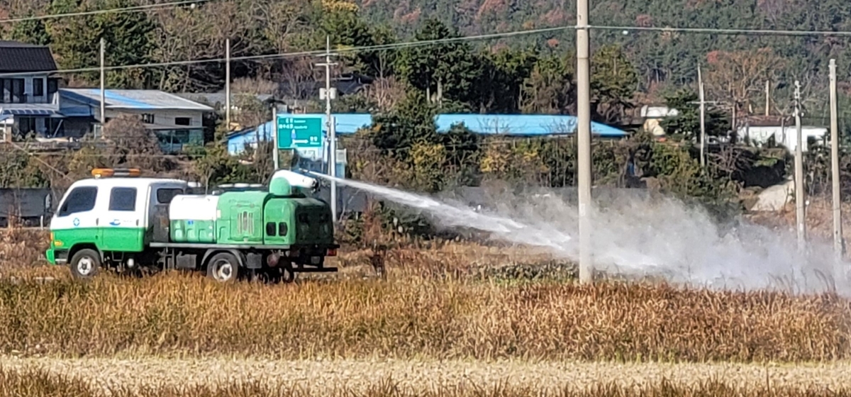방역 당국, 고흥 젖소농장 럼피스킨 확산 차단에 총력