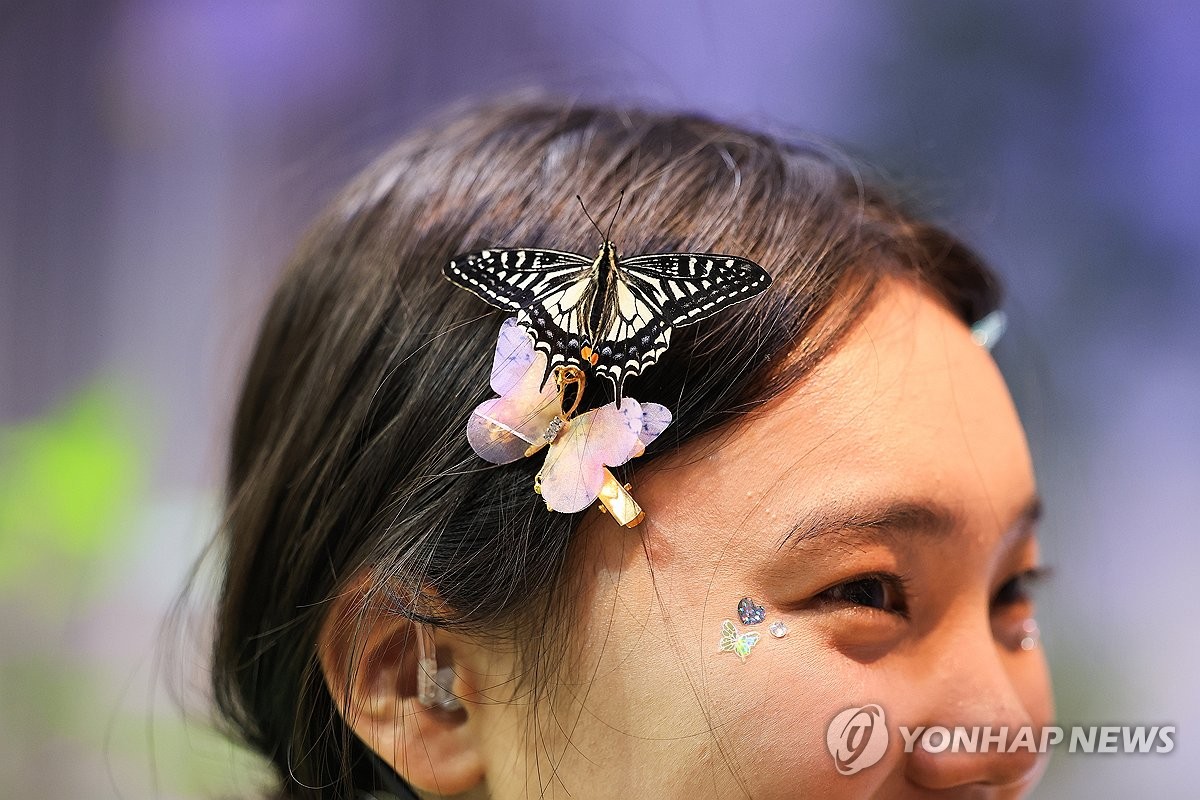 에버랜드 나비의 꿈꾸는 정원