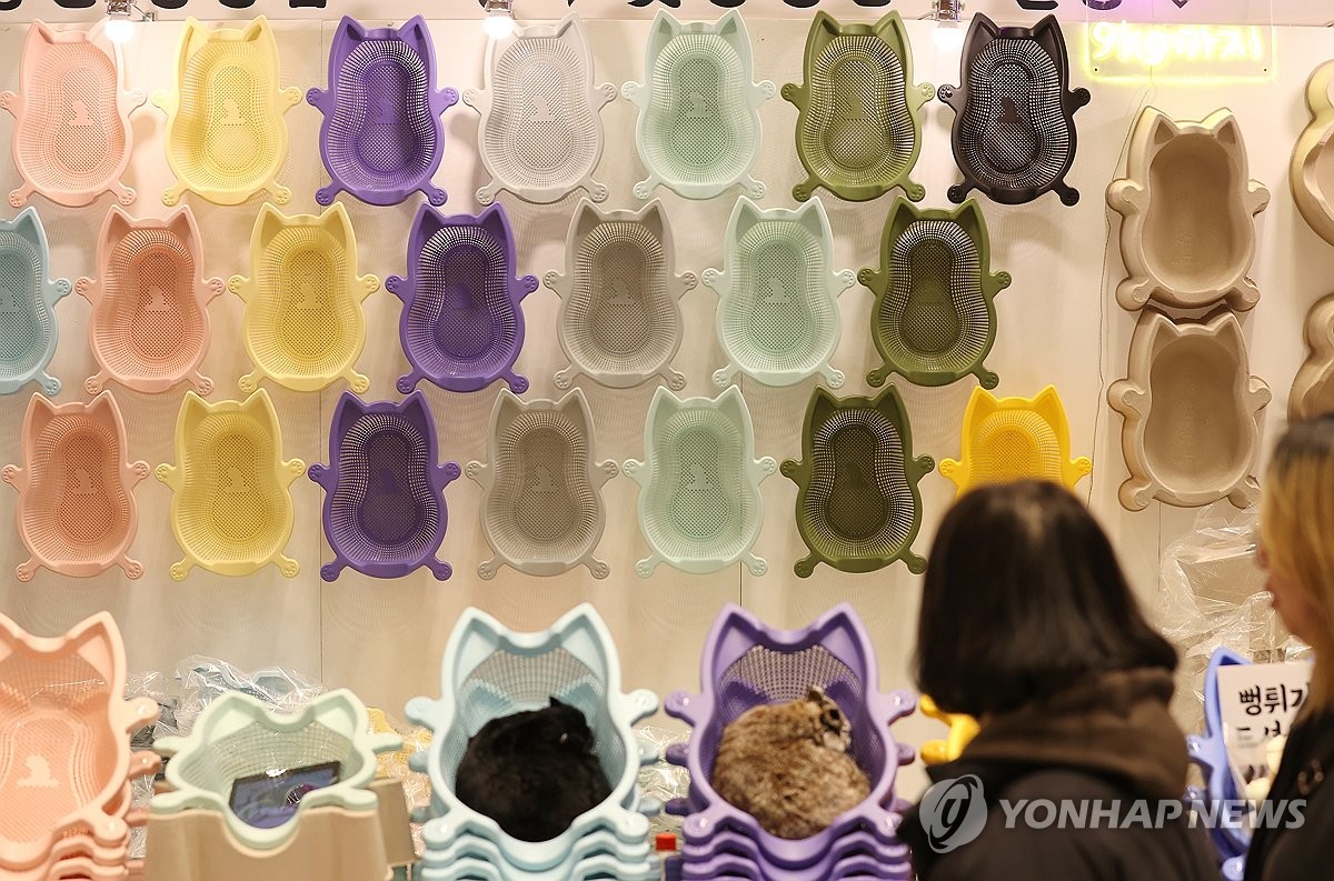 고양이 닮은 소쿠리
