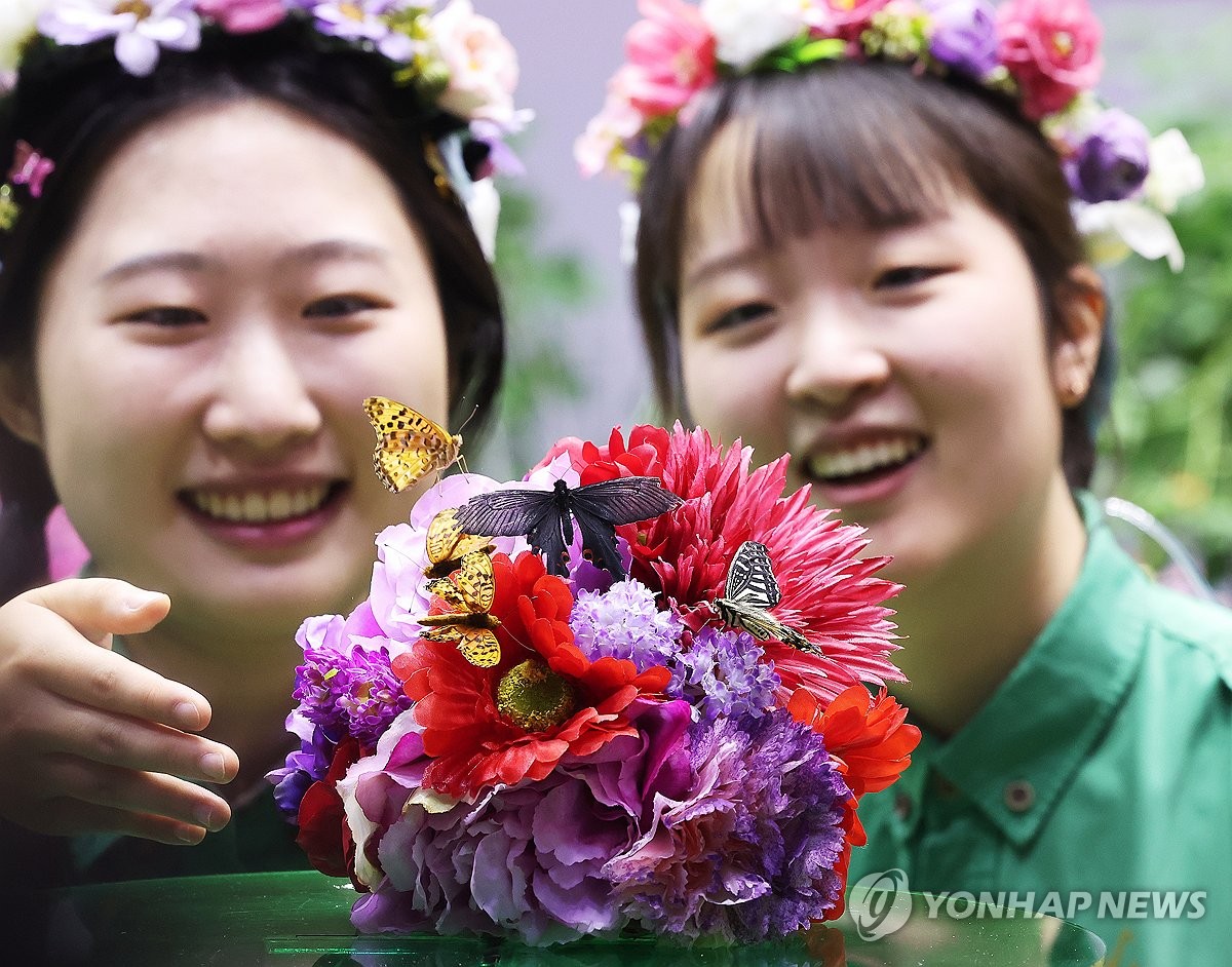 대한 앞두고 만나는 봄의 전령 나비