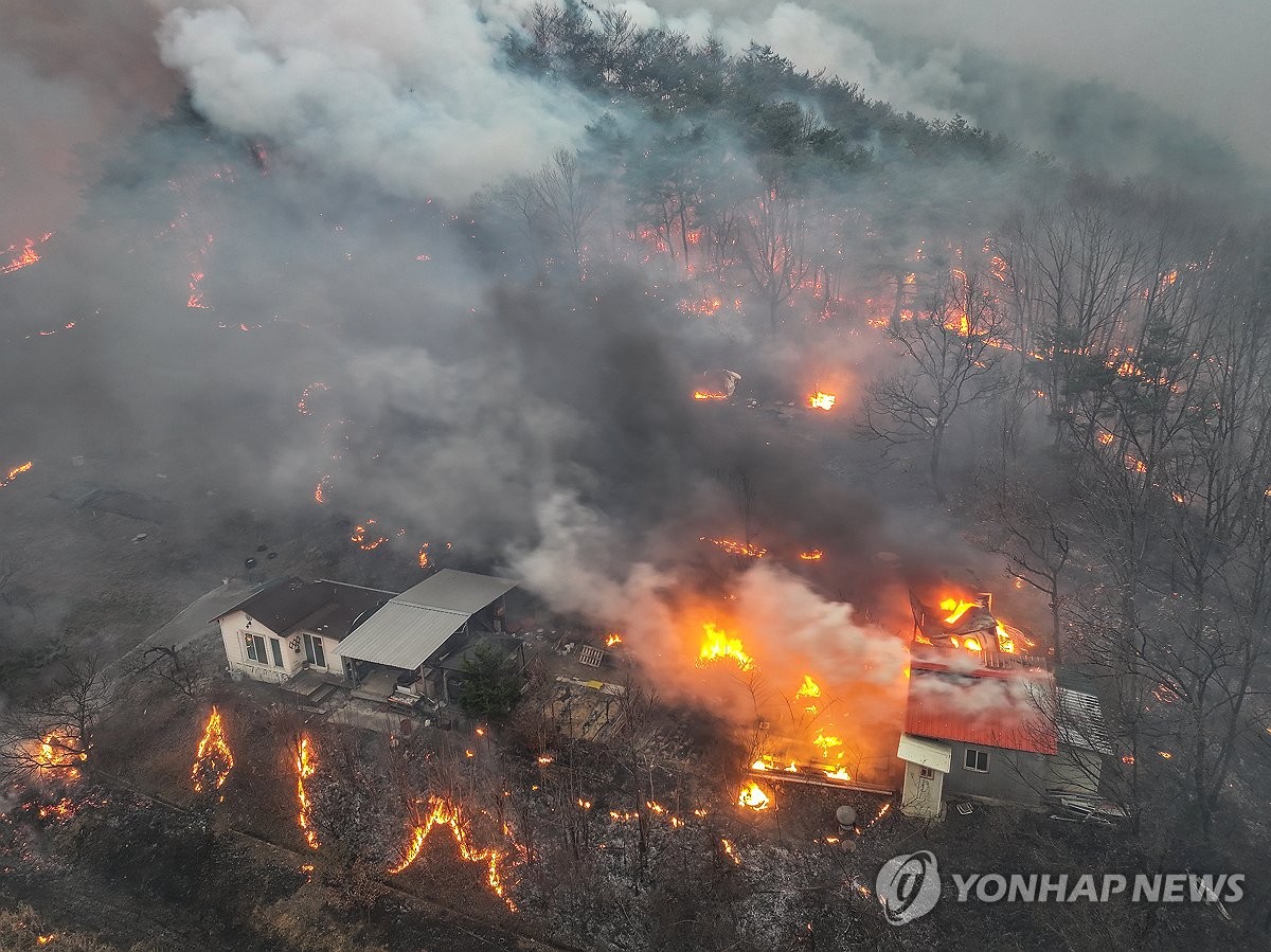 산불이 앗아간 터전