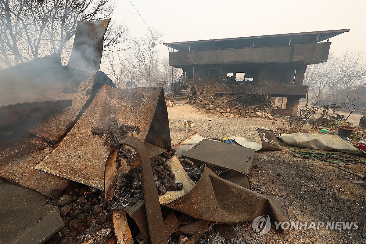 화마가 휩쓸고 간 자리