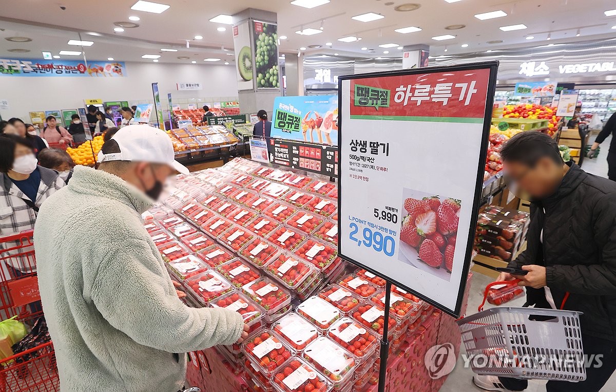 오늘 하루 딸기 특가판매