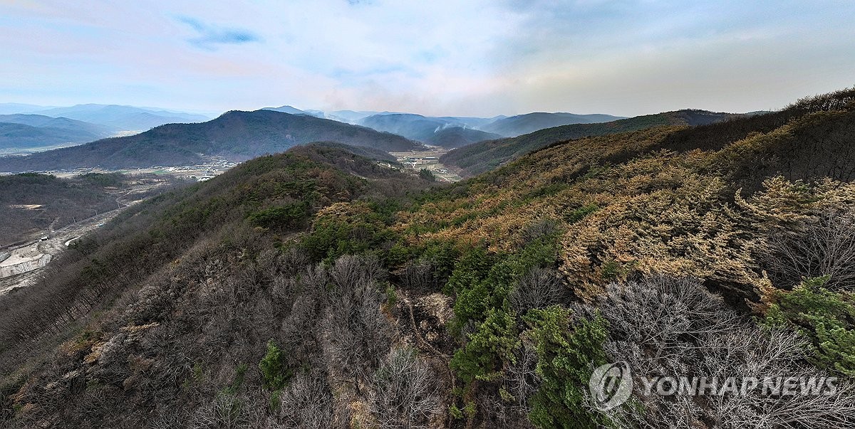 역대 최악 산불 최초 발화 지점에서 바라본 피해 상황