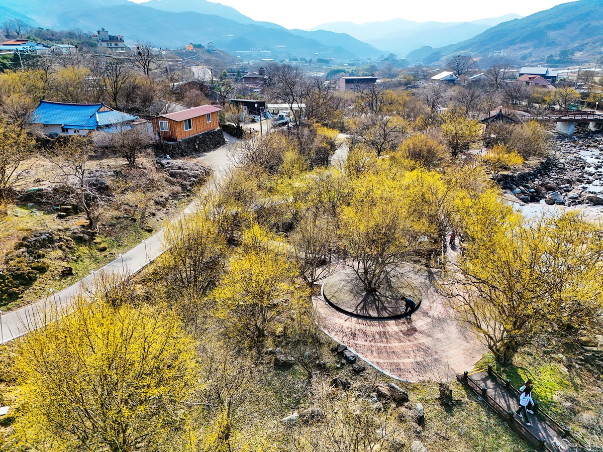 [걷고 싶은 길] 지리산 봄 마중, 구례 산수유 길