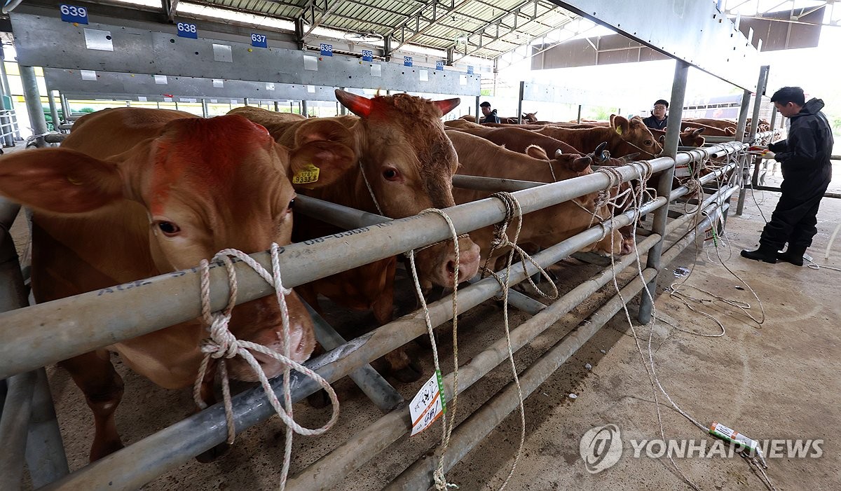 구제역에서 벗어난 우시장