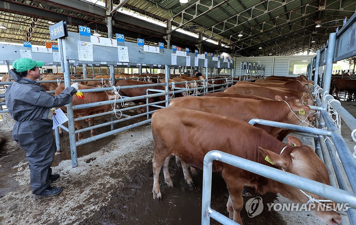 구제역에서 벗어난 우시장