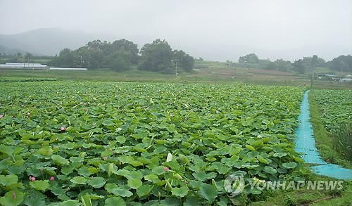농어촌체험마을도 휴게음식점 가능…경기도 적극행정 성과