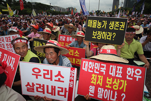 이 소 한마리 39만원에 사가시오!