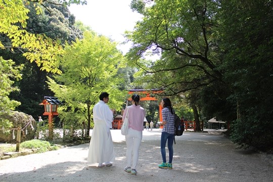 일본 도시숲 관리 철학…손 대지 않는다