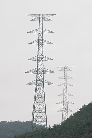 욕망의 전기, 놔두면 다 죽는다