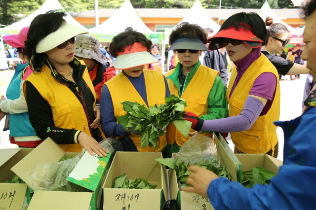 원주, 제25회 치악산 산나물 축제 개최