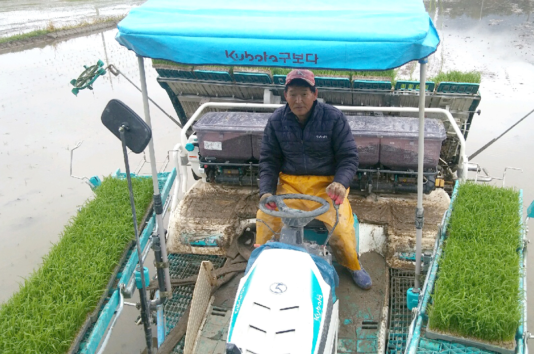 [포토] 순창군 풍산면 첫 모내기