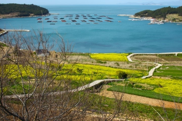 슬로시티 완도 청산도 다시 오고파
