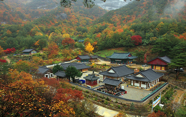 동해 삼화사, ‘1400년 신비의 베일 벗는다’