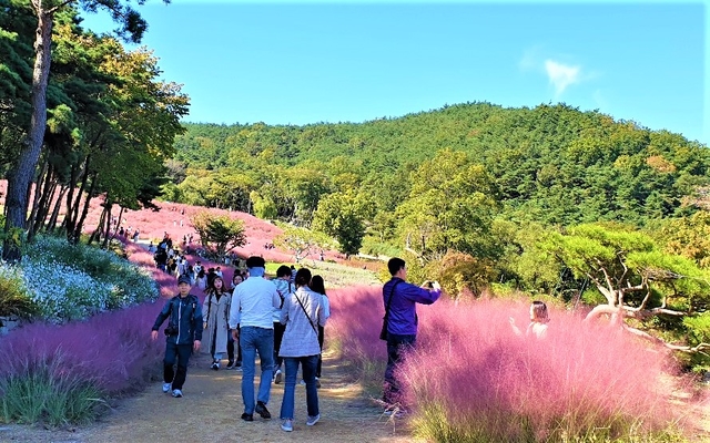 경북도 제4호 등록, 가산 수피아 정원 방문객 12만 넘어